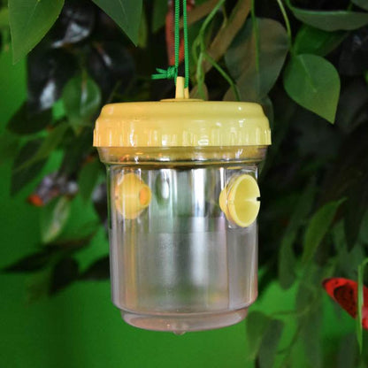 Wasp Trap