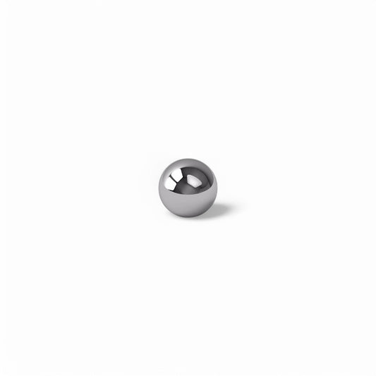 Stainless Steel Ball Bearing for Honey Extractor