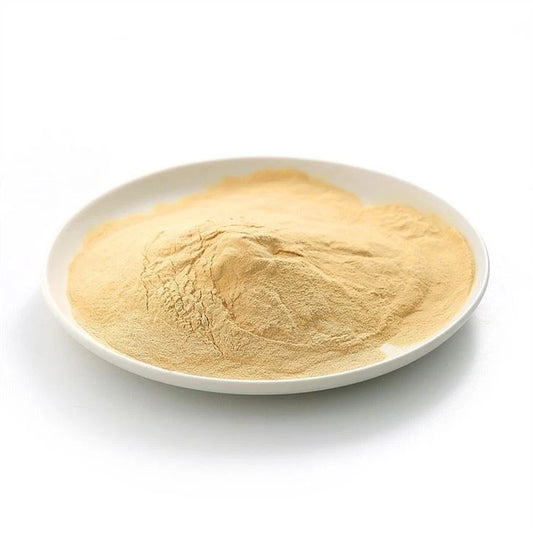 Inactive Yeast / Nutritional Yeast 25kg