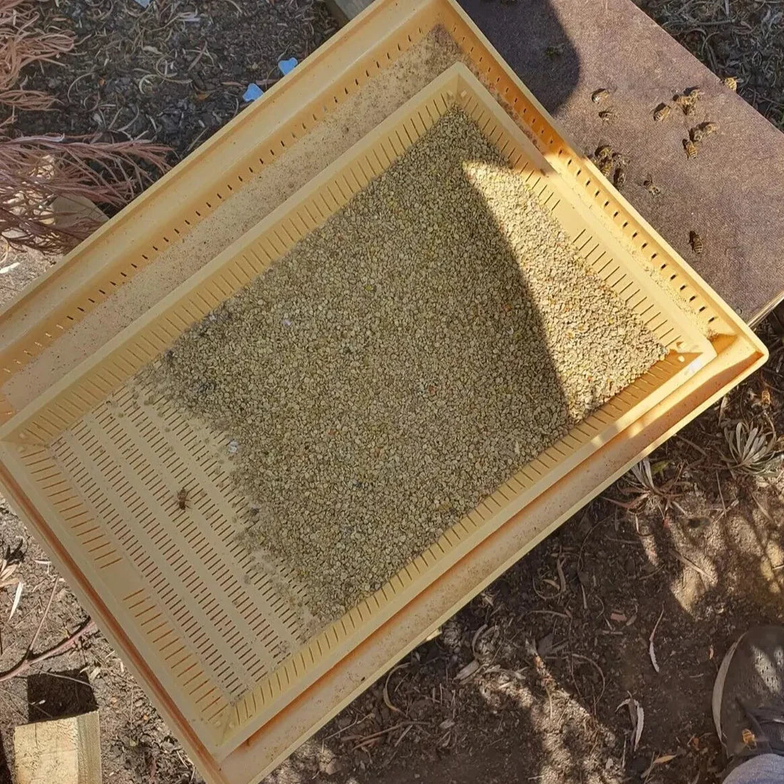 Plastic Screened Bottom Board with Pollen Trap - 10 Frame